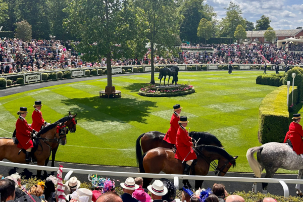 Guide For Single Parents 5 Local Activities To Do In Ascot With Your Kids