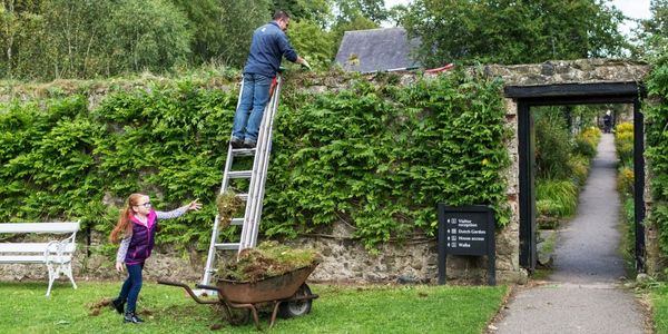 The Garden And Grounds At Springhill