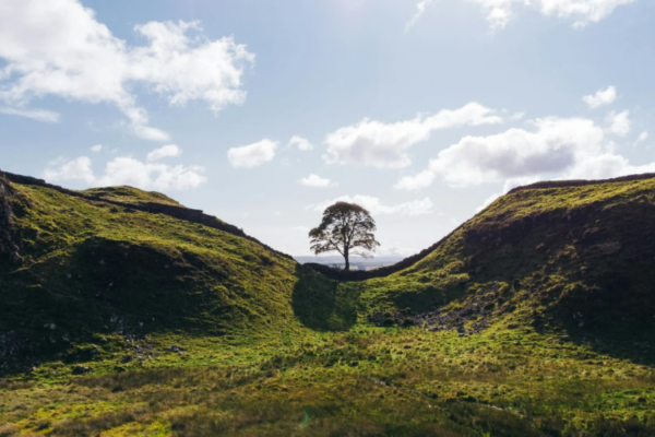 Hidden Uk Destinations That Offer A Unique Day Out Experience