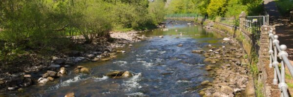 Things To Do In Dunblane