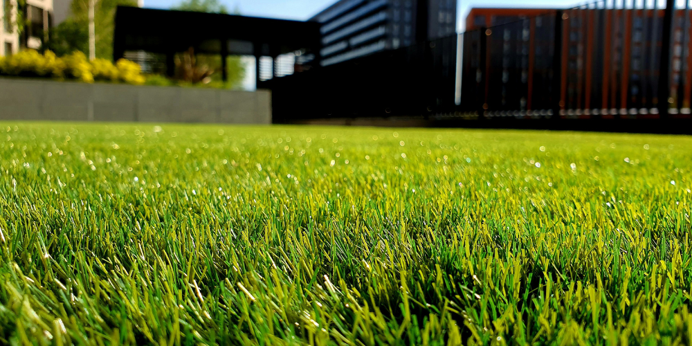 Why A Well Kept Lawn Can Change How You Enjoy Your Garden