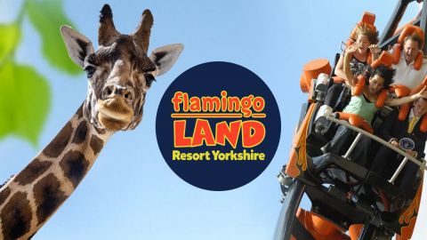 Flamingo Land North Yorkshire Great Deal