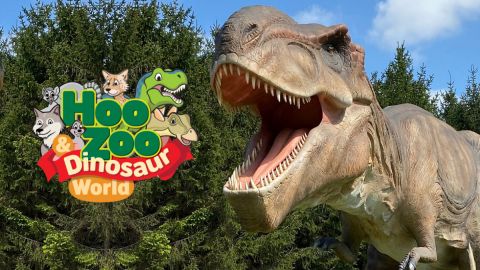 Hoozoo Dinosaur World Great Deal