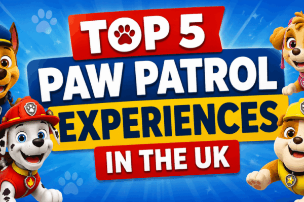 Top5pawpatrolexperinces (4) (1)