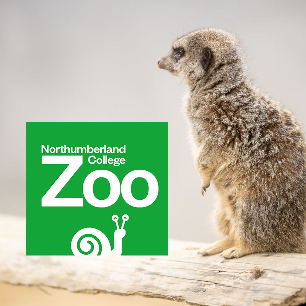 Gdo Wp Northumberland College Zoo 7