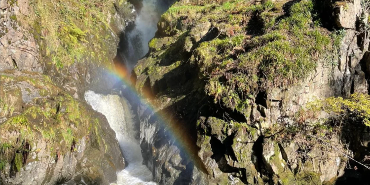 Aira Force And Gowbarrow Park (1)