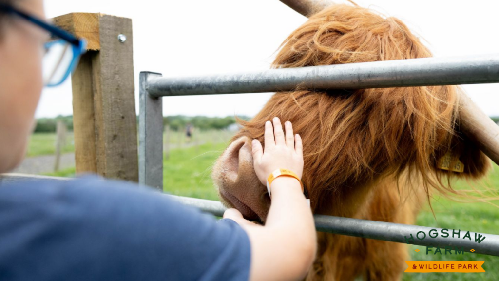 Hogshaw Farm 4