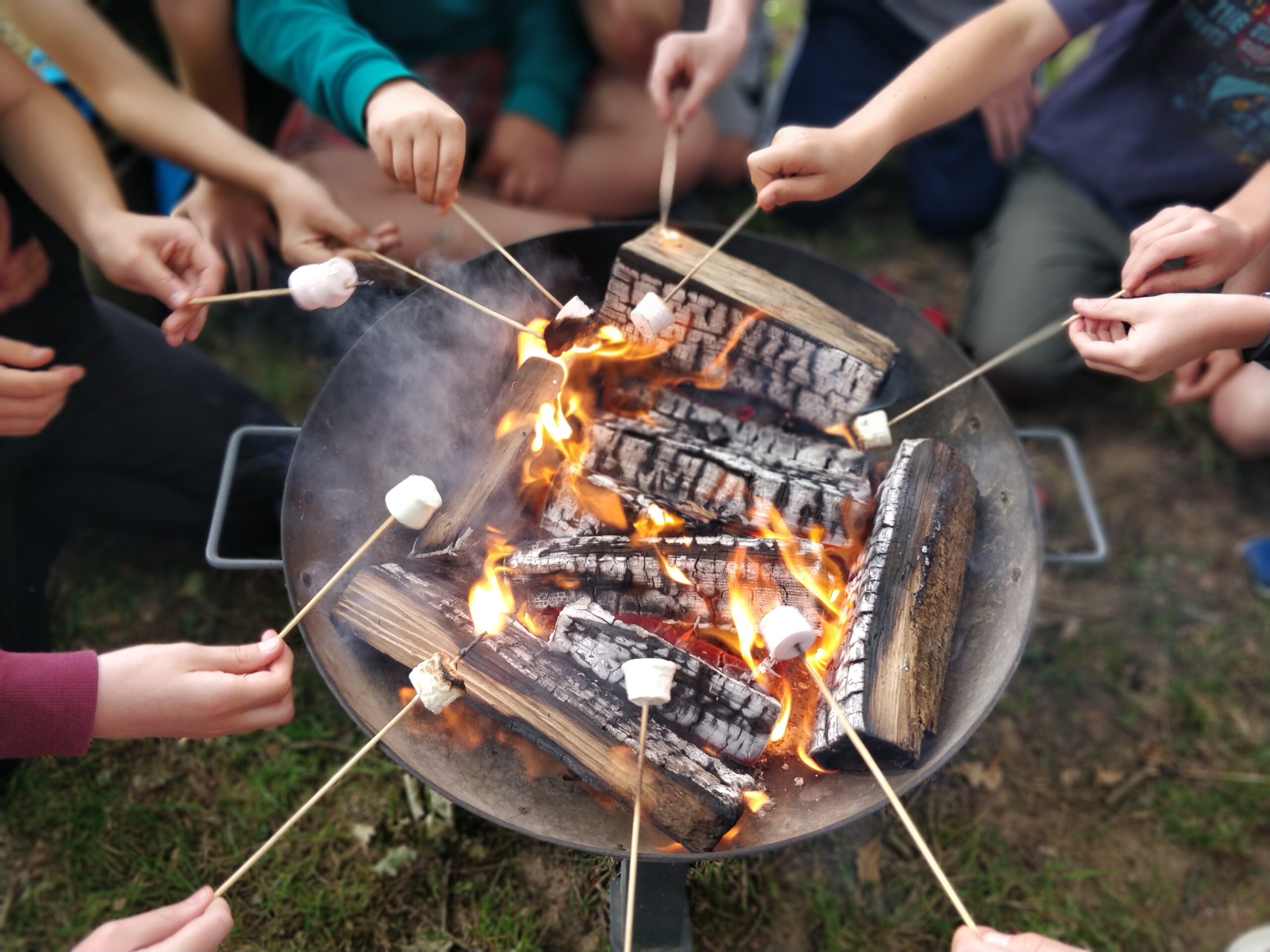 Uk School Sheet Primary Fire Pit Marshmallows Jpg