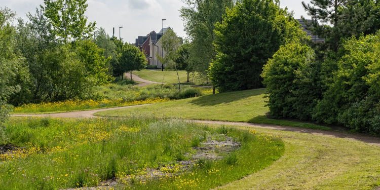 Brookland Meadows