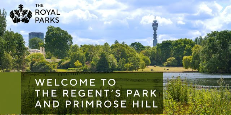 Regents Park 2