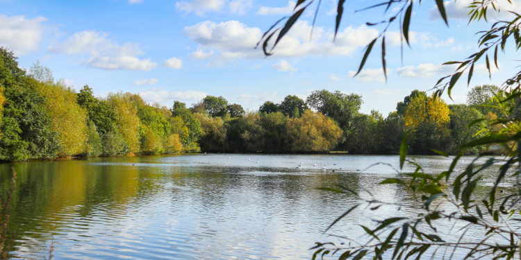 Rickmansworth Aquadrome
