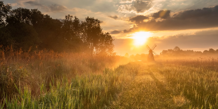 Wicken Fen Nature Reserve