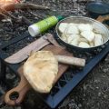 Uk Foraging Chicken Of The Woods Jpg