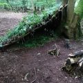 Uk Woods School Camp Shelter Jpg