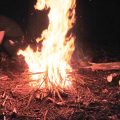Uk Woods Staff Fire