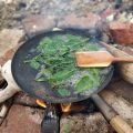 Uk Coastal Foraging Sea Better Cooking Jpg