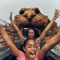Gdo Wp Chessington World Of Adventures 2