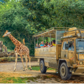 Gdo Wp Chessington World Of Adventures 4
