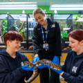 Gdo Wp Northumberland College Zoo 3