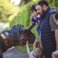 Hoozoo Dinosaurworld Telford 2