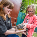 Hoozoo Dinosaurworld Telford 5