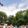 The Falconers Quest